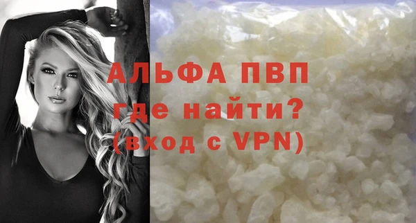 прущие грибы Нязепетровск