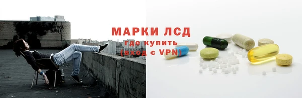 прущие грибы Нязепетровск