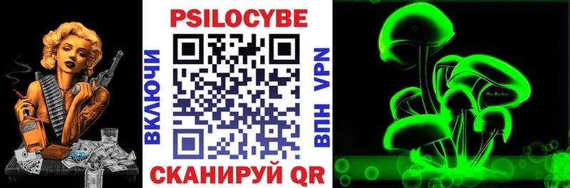 Псилоцибиновые грибы Psilocybe  где найти   Ясногорск 